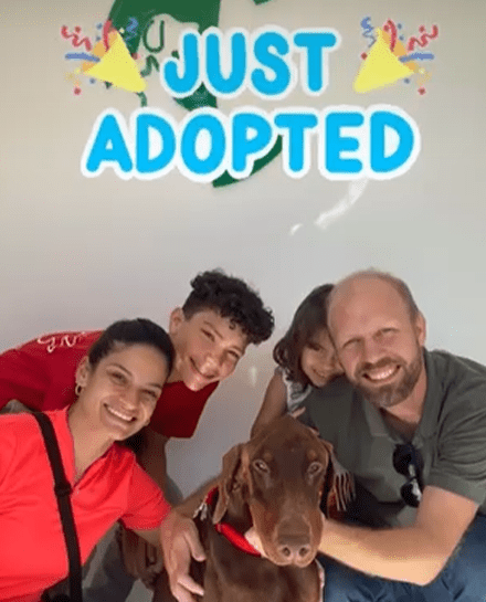 Buono Adopted