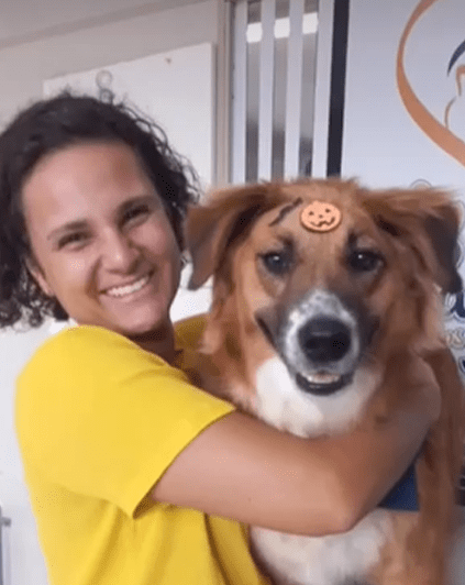 Guto Adopted