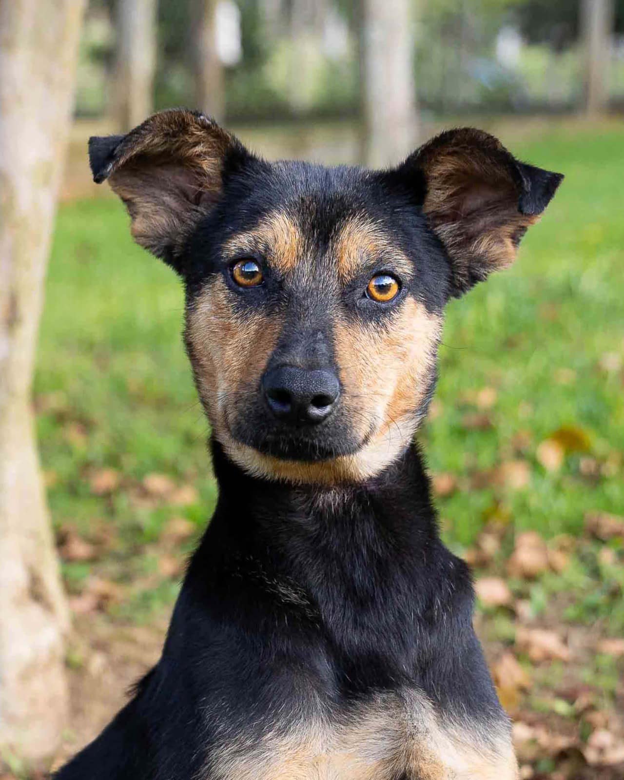 467149884_568783252399554_2786542689076804978_n